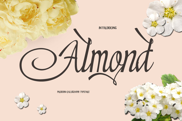 Almond: The Brush Script Reshaping Modern Design