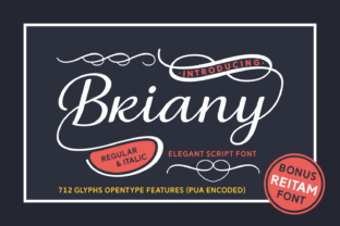 Briany: The Art of Integrating Vintage Script into Modern Design