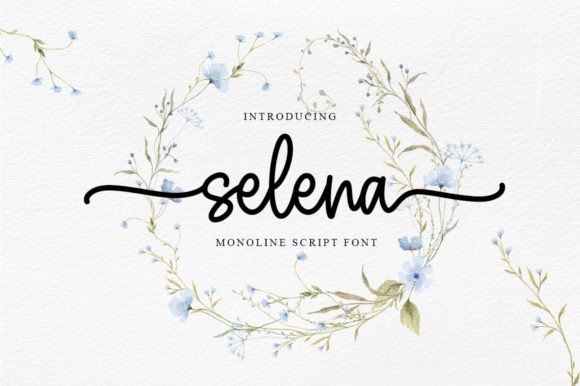 Selena: The New Standard for Elegant Script Typography in Modern Design