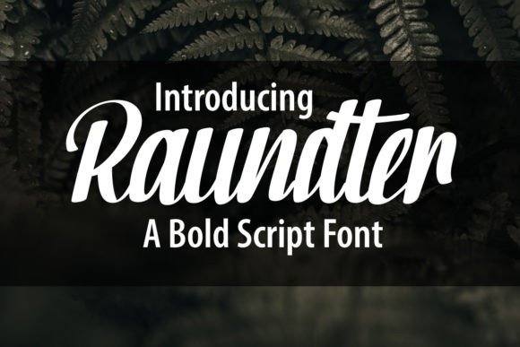 Strategic Typography Decisions: Why Raundter Fits Your Brand Identity