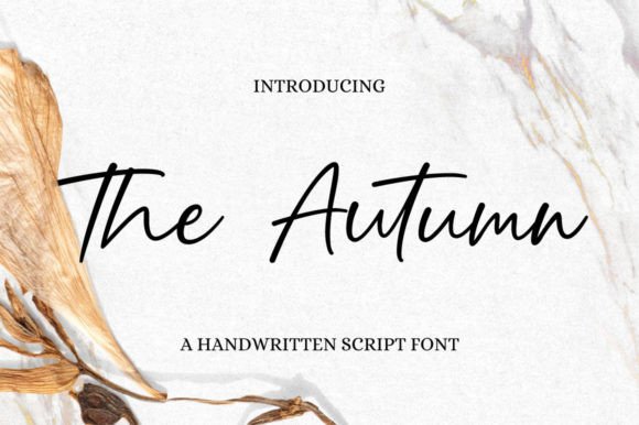 The Autumn Script Font: A Detailed Evaluation for Fashion and Editorial Projects