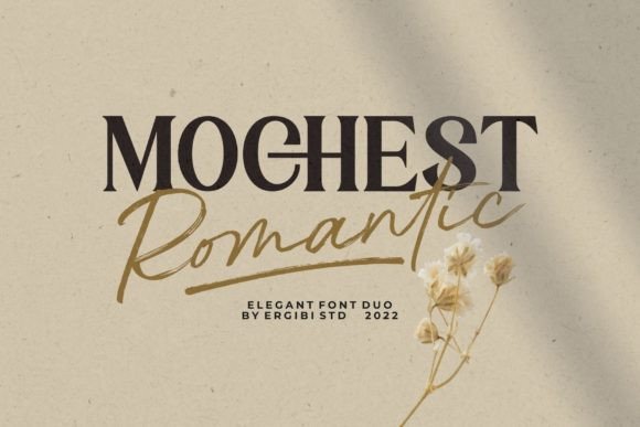 The Renaissance of Refined Typography: Why Mochest Romantic Duo is Defining Modern Luxury Design